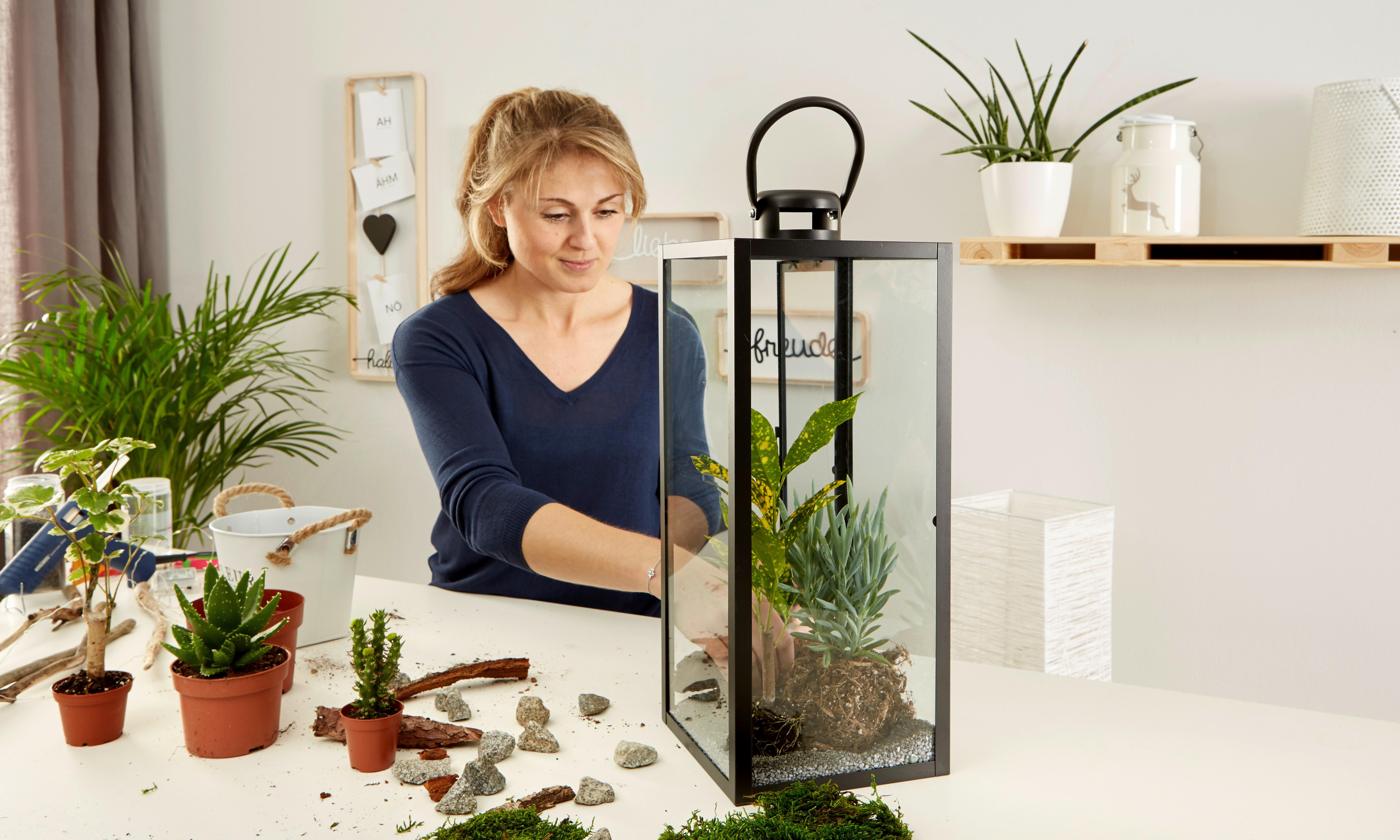 DIY lámpás növényekkel: 3. lépés