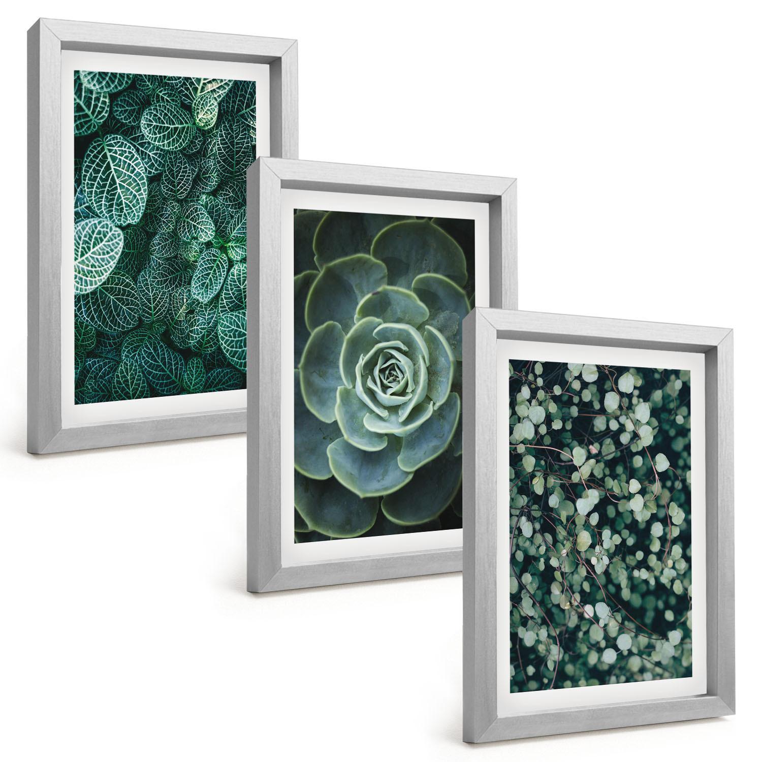 BILDER SET 3er Set - 20x30 cm Silberner Rahmen - Sukkulenten - Silberfarben, Kunststoff (20/30cm) - TULUP