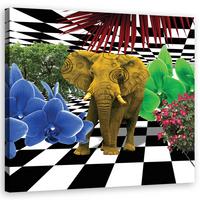 WANDBILD buntes elefant - Multicolor, Textil (40/40cm) - Feeby