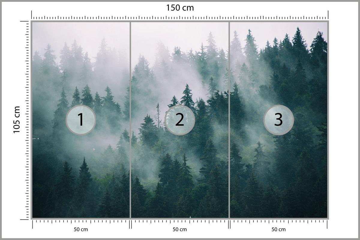 FOTOTAPETE Wald im Nebel Landschaft Natur 3D 150x105 - Türkis/Grau, Papier (150/105cm) - Muralo
