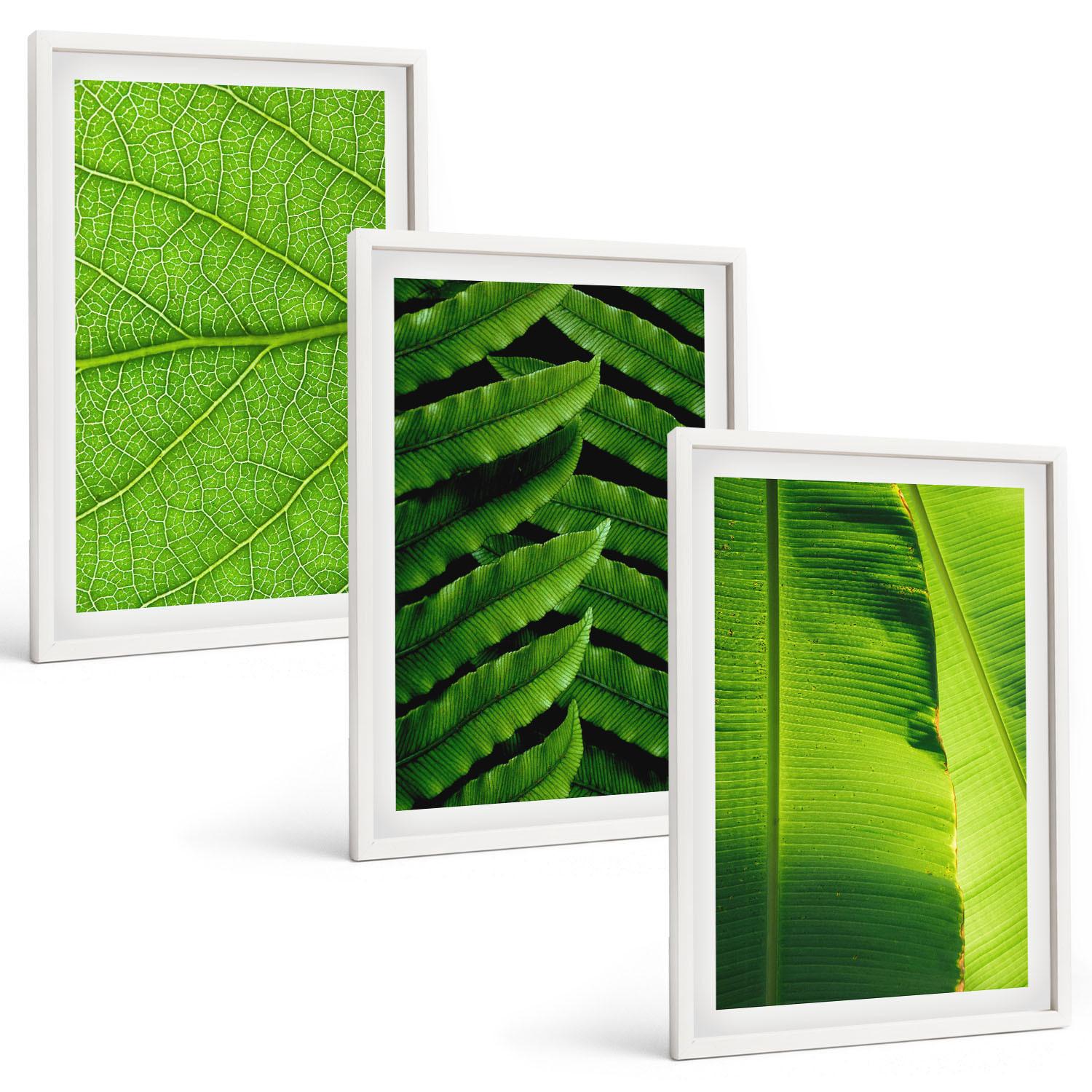 BILDER SET 3er Set - 40x60 cm Weißer Rahmen - Makrofotografie von tropischen Blättern - Weiß, Kunststoff (40/60cm) - TULUP