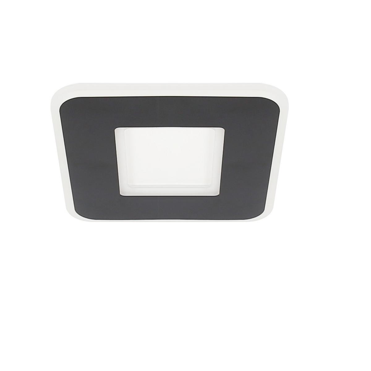 LED-DECKENLEUCHTE Gunther 24 cm - Schwarz, Metall (24/24/4cm) - Nettlife