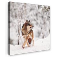 LEINWANDBILD Wolf - Winter - Schnee - Natur - Tiere Deko Wohnzimmer 20x20 cm - Haselnussfarben, Textil (20/20cm) - MuchoWow