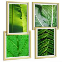 BILDER SET 4er Set - 50x50 cm & 40x60 cm Goldrahmen - Nahaufnahme von tropischen Blättern - Goldfarben, Kunststoff (50/50cm) - TULUP