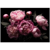 FOTOTAPETE Blumen Pfingstrosen Rosa 250x175 cm - Multicolor, Papier (250/175cm) - Wallarena