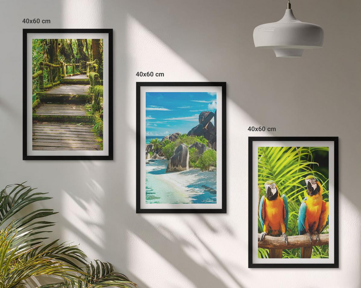 BILDER SET 3er Set - 40x60 cm Schwarzer Rahmen - Tropischer Wald Papageienwasserfall - Schwarz, Kunststoff (40/60cm) - TULUP