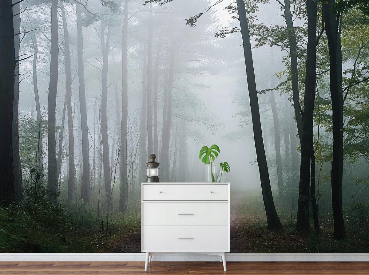 FOTOTAPETE Wald Natur Vlies Tapete Wohnzimmer Schlafzimmer 250x175 - Grau, Papier (250/175cm) - Wallarena