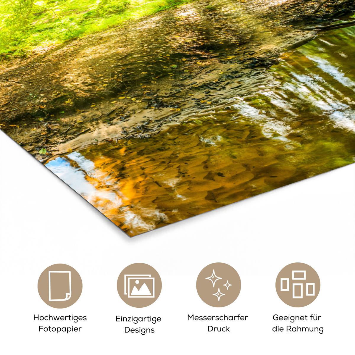 POSTER Wald - Landschaft - Wasser - Bäume - Sonne - Grün - Natur Deko Wohnzimmer 60x80 cm - Grün, Papier (60/80/0.1cm) - MuchoWow