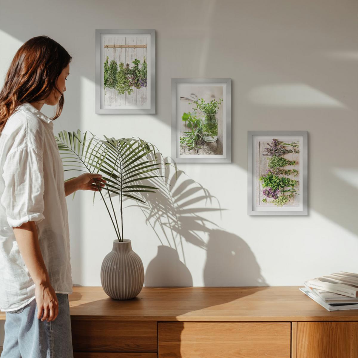 BILDER SET 3er Set - 20x30 cm Silberner Rahmen - Kräuterpflanzen für die Küche - Silberfarben, Kunststoff (20/30cm) - TULUP