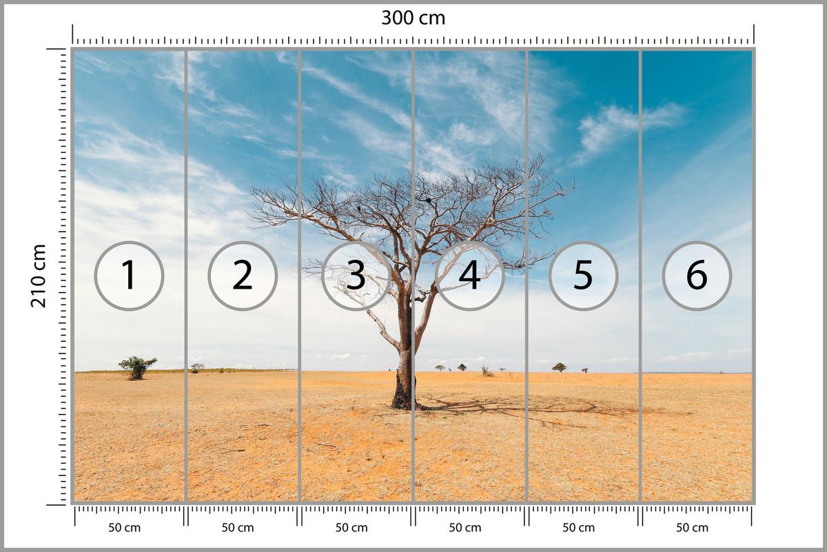 FOTOTAPETE für Wohnzimmer Trockener Baum Wüste Sand 300x210 - Beige/Orange, Papier (300/210cm) - Muralo