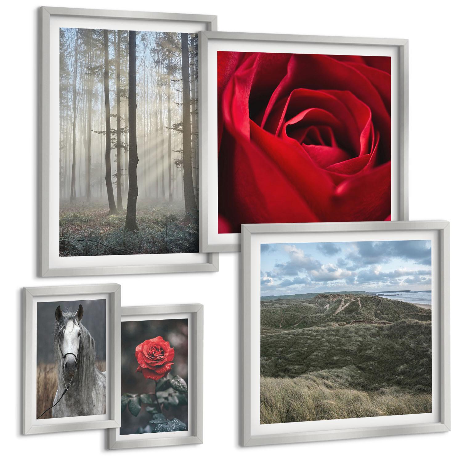 BILDER SET 5er Set - 50x50 cm & 20x30 cm & 40x60 cm Silberner Rahmen - Rote Rosen auf pferdegrauem Hintergrund - Silberfarben, Kunststoff (40/60cm) - TULUP