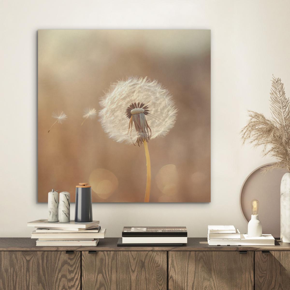 AKUSTIKBILD Löwenzahn - Beige - Natur - Blume Wandbilder 60x60 cm - Hellbraun, Kunststoff (60/60/0.9cm) - MuchoWow