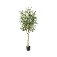 OLIVENBÄUME Künstliche 182 cm Grün - Grün, Kunststoff (182cm) - COSTWAY