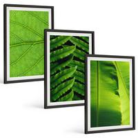 BILDER SET 3er Set - 40x60 cm Schwarzer Rahmen - Makrofotografie von tropischen Blättern - Schwarz, Kunststoff (40/60cm) - TULUP