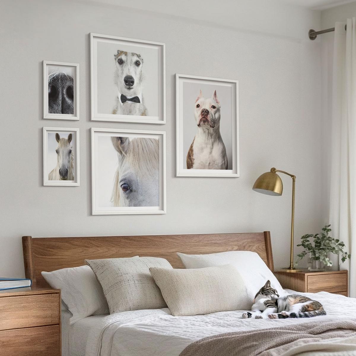 BILDER SET 5er Set - 50x50 cm & 20x30 cm & 40x60 cm Weißer Rahmen - Elegante Porträts von Hunden und Pferden - Weiß, Kunststoff (40/60cm) - TULUP