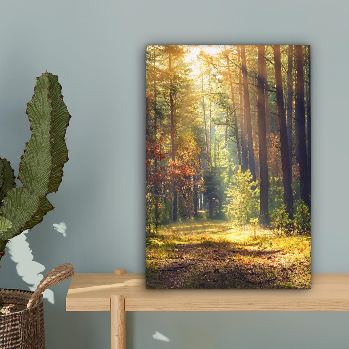 LEINWANDBILD Wald - Herbst - Bäume Deko Wohnzimmer 20x30 cm - Dunkelgrün, Textil (20/30cm) - MuchoWow