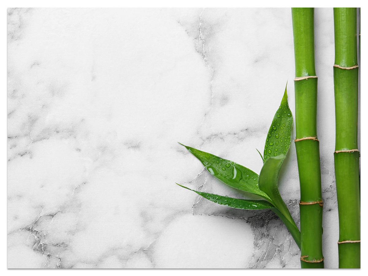 FOTOTAPETE für Küche Bambusblätter Grauer Marmor Exotisch Elegant 300x210 - Weiß/Grau, Papier (300/210cm) - Muralo