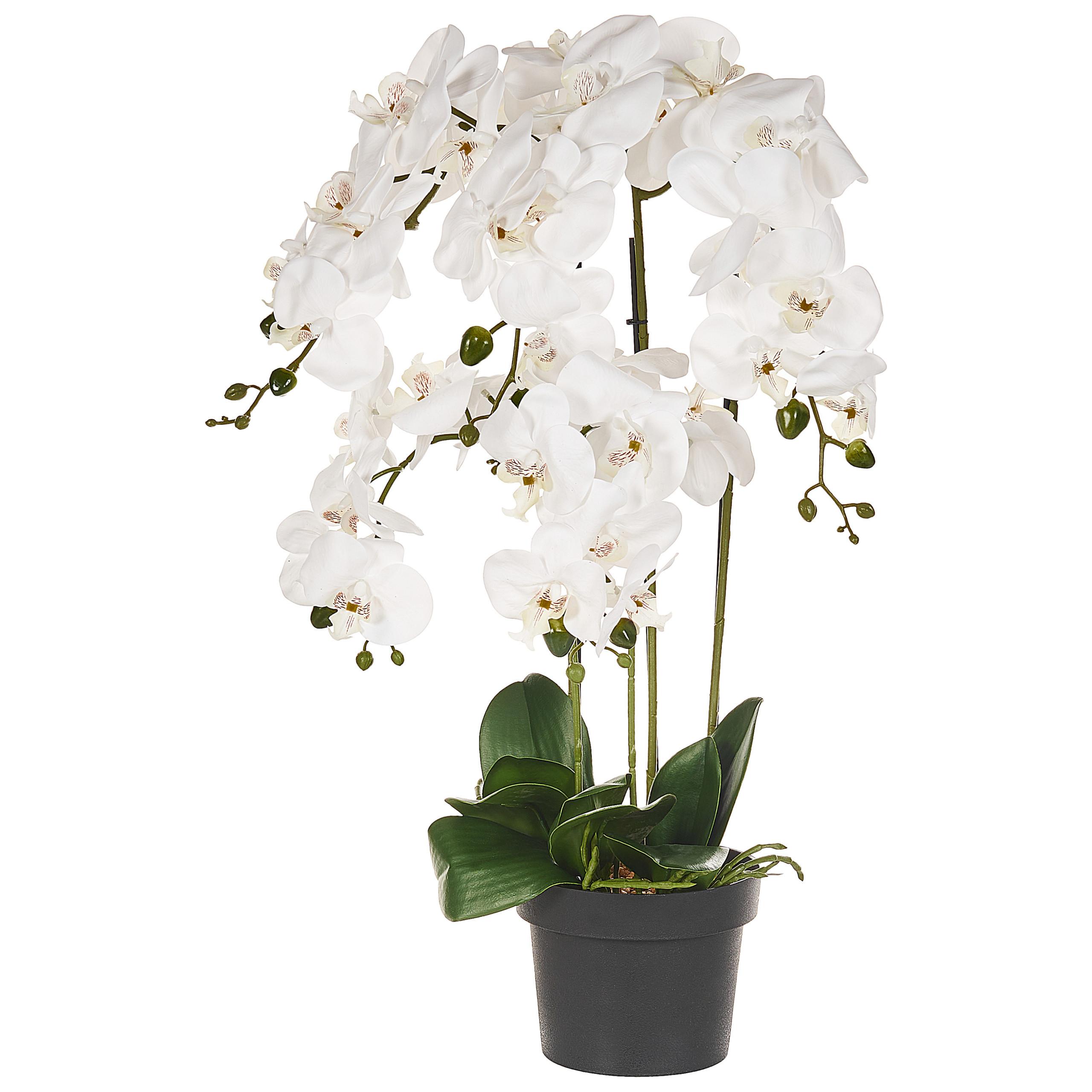 KUNSTPFLANZE im Blumentopf 65 cm Weiß Orchid - Weiß/Grün, Kunststoff (65cm) - Beliani