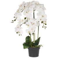KUNSTPFLANZE im Blumentopf 65 cm Weiß Orchid - Weiß/Grün, Kunststoff (65cm) - Beliani