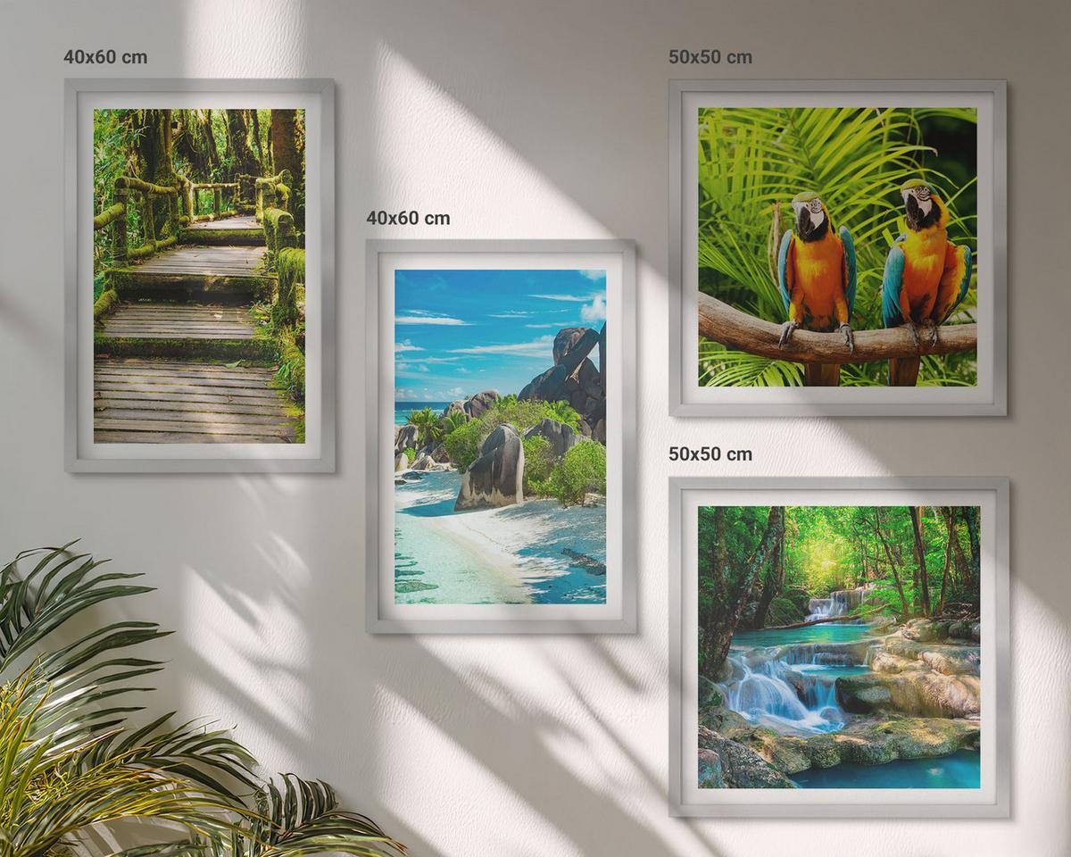 BILDER SET 4er Set - 50x50 cm & 40x60 cm Silberner Rahmen - Tropischer Wald Papageienwasserfall - Silberfarben, Kunststoff (50/50cm) - TULUP