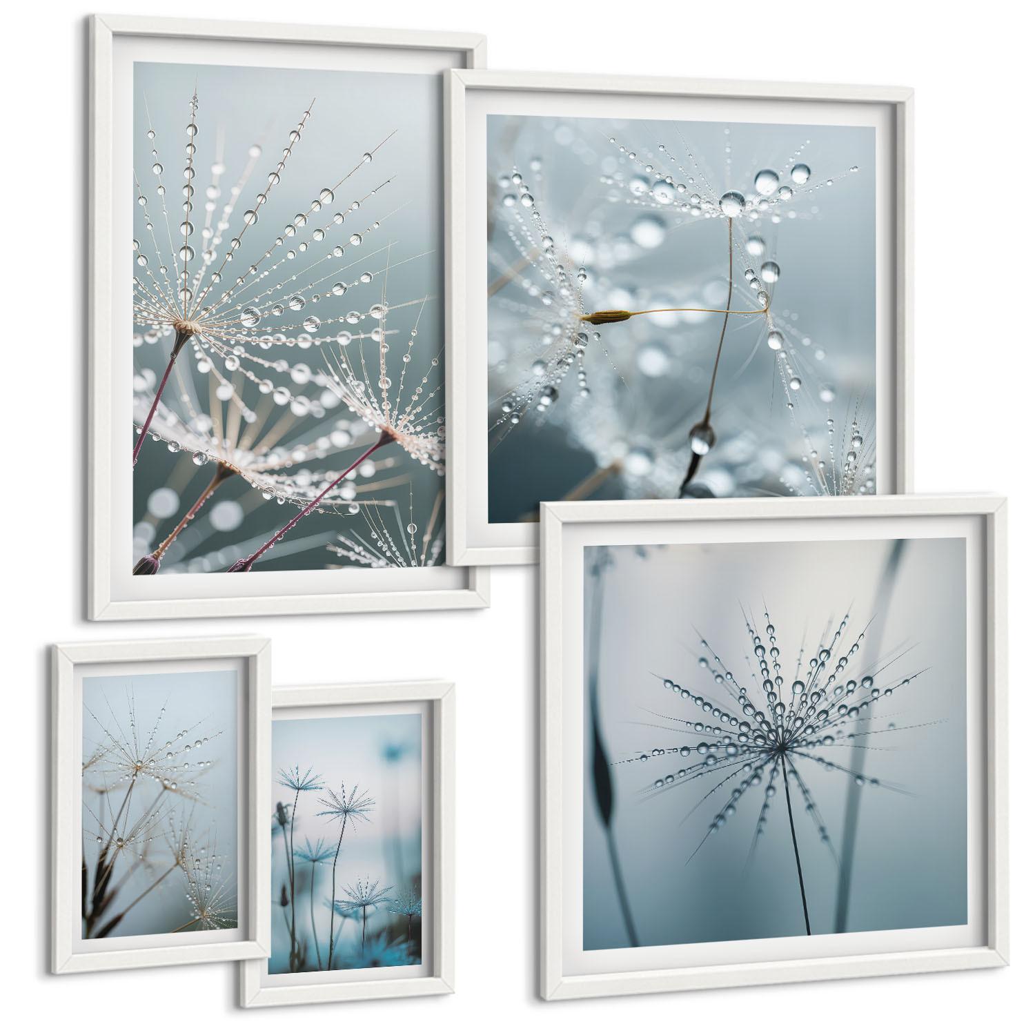 BILDER SET 5er Set - 50x50 cm & 20x30 cm & 40x60 cm Weißer Rahmen - Tautropfen auf Löwenzahn - Weiß, Kunststoff (40/60cm) - TULUP