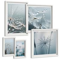 BILDER SET 5er Set - 50x50 cm & 20x30 cm & 40x60 cm Weißer Rahmen - Tautropfen auf Löwenzahn - Weiß, Kunststoff (40/60cm) - TULUP