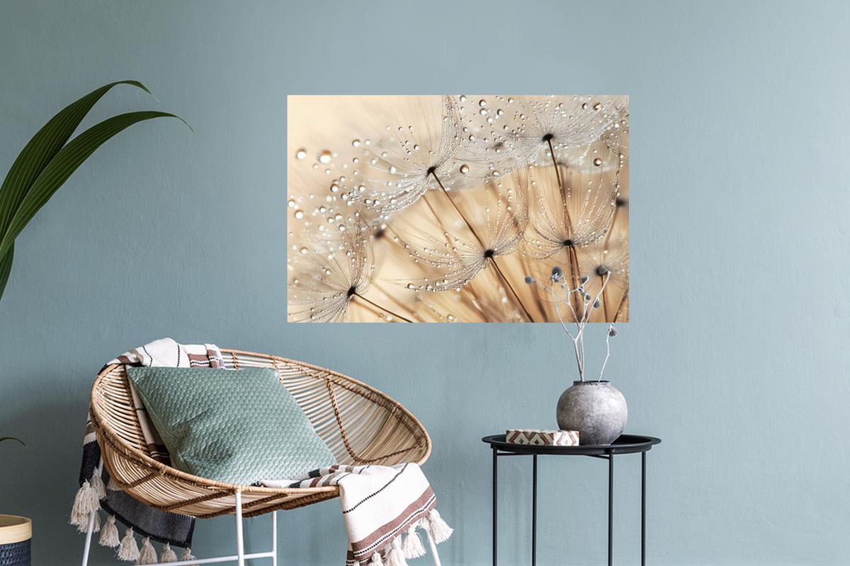 WANDTATTOO Löwenzahn - Abstrakt - Natur - Beige Deko Wohnzimmer 60x40 cm - Braun, Kunststoff (60/40/0.1cm) - MuchoWow