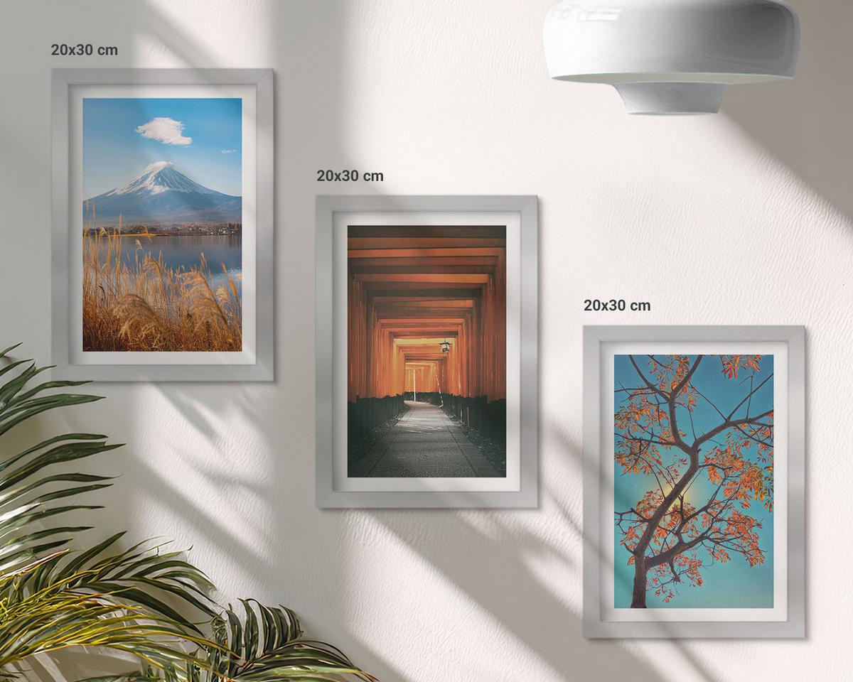 BILDER SET 3er Set - 20x30 cm Silberner Rahmen - Japanische Naturlandschaften - Silberfarben, Kunststoff (20/30cm) - TULUP