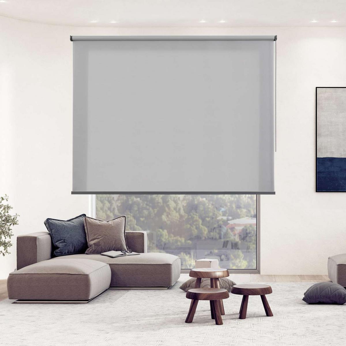 ROLLO Hellgrau,100cm x 250cm - Hellgrau, Kunststoff (100/250cm) - STORESDECO