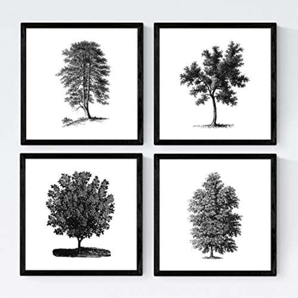POSTER Set mit 4 Blättern der weißer Hintergrund 20x20cm Schwarzer Rahmen - Schwarz, Papier (20/3cm) - Nacnic