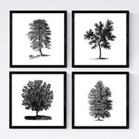 POSTER Set mit 4 Blättern der weißer Hintergrund 20x20cm Schwarzer Rahmen - Schwarz, Papier (20/3cm) - Nacnic