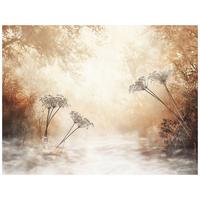 FOTOTAPETE Wald Boho Beige Nature 200x140 - Multicolor, Papier (200/140cm) - Wallarena
