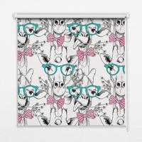 INNENROLLO - Fensterrollo - Rollo - 70x140 cm - Giraffe mit Brille - Grau, Kunststoff (70/140/0.5cm) - TULUP