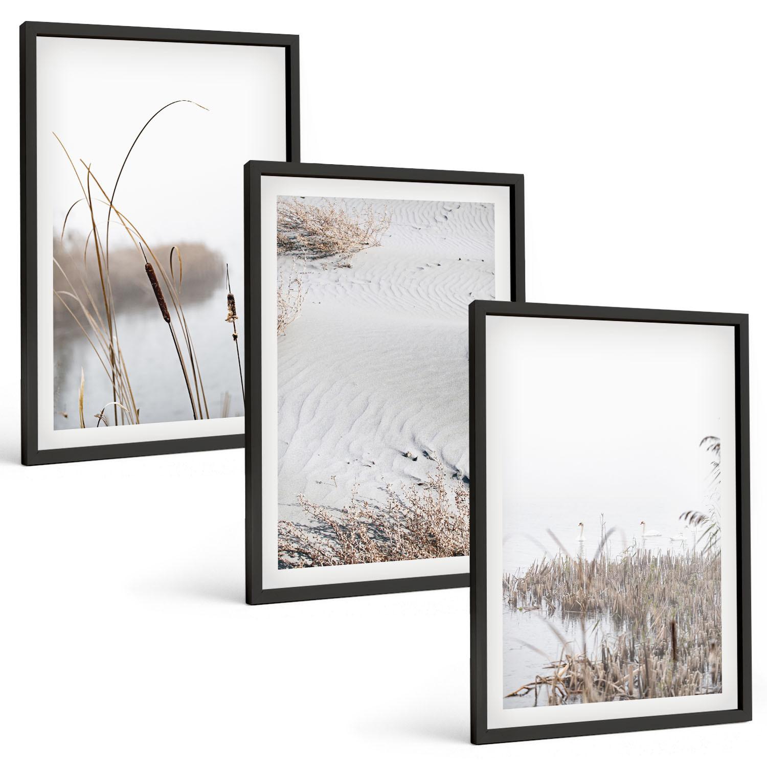 BILDER SET 3er Set - 40x60 cm Schwarzer Rahmen - Wasserpflanzen im Sommer - Schwarz, Kunststoff (40/60cm) - TULUP