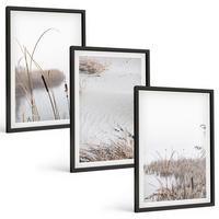 BILDER SET 3er Set - 40x60 cm Schwarzer Rahmen - Wasserpflanzen im Sommer - Schwarz, Kunststoff (40/60cm) - TULUP