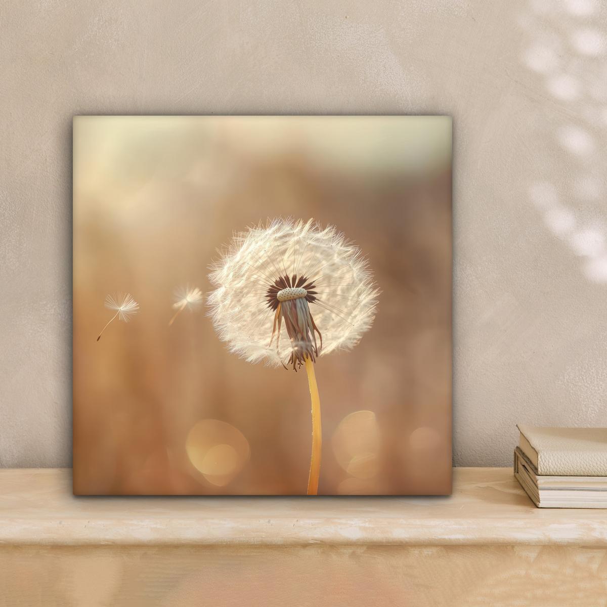 LEINWANDBILD Löwenzahn - Beige - Natur - Blume Deko Wohnzimmer 20x20 cm - Hellbraun, Textil (20/20cm) - MuchoWow