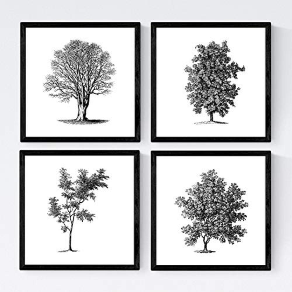 POSTER Set mit 4 Blättern der Bäume ohne und mit Blatt, weiß 20x20cm Schwarzer Rahmen - Schwarz, Papier (20/3cm) - Nacnic