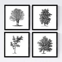 POSTER Set mit 4 Blättern der Bäume ohne und mit Blatt, weiß 20x20cm Schwarzer Rahmen - Schwarz, Papier (20/3cm) - Nacnic