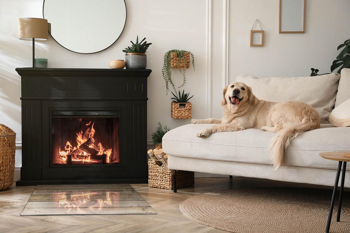 GLASPLATTE für Kamin 80x60 cm - Beige, Glas (80/60/0.4cm) - TULUP