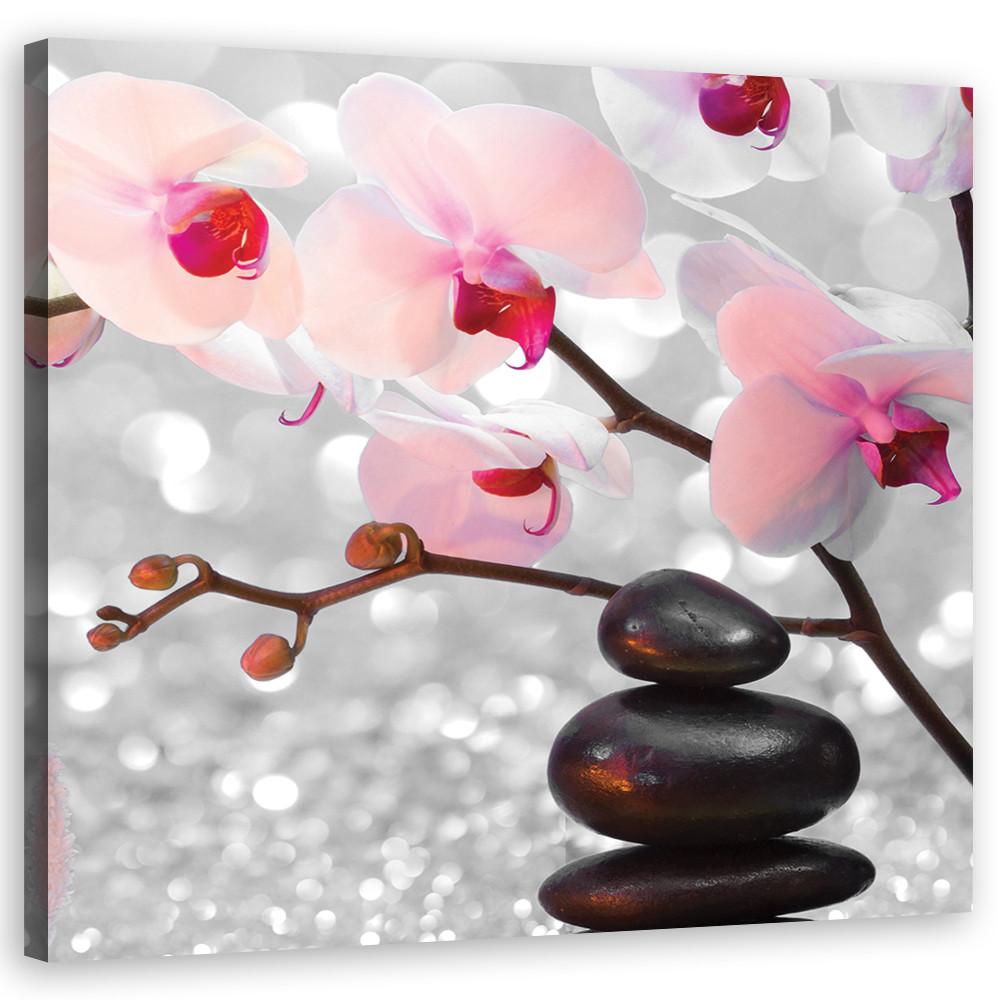 WANDBILD zen steine orchidee blumen - Pink, Textil (50/50cm) - Feeby