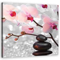 WANDBILD zen steine orchidee blumen - Pink, Textil (40/40cm) - Feeby