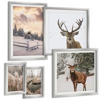 BILDER SET 5er Set - 50x50 cm & 20x30 cm & 40x60 cm Silberner Rahmen - Winterlandschaft mit Hirschen - Silberfarben, Kunststoff (40/60cm) - TULUP