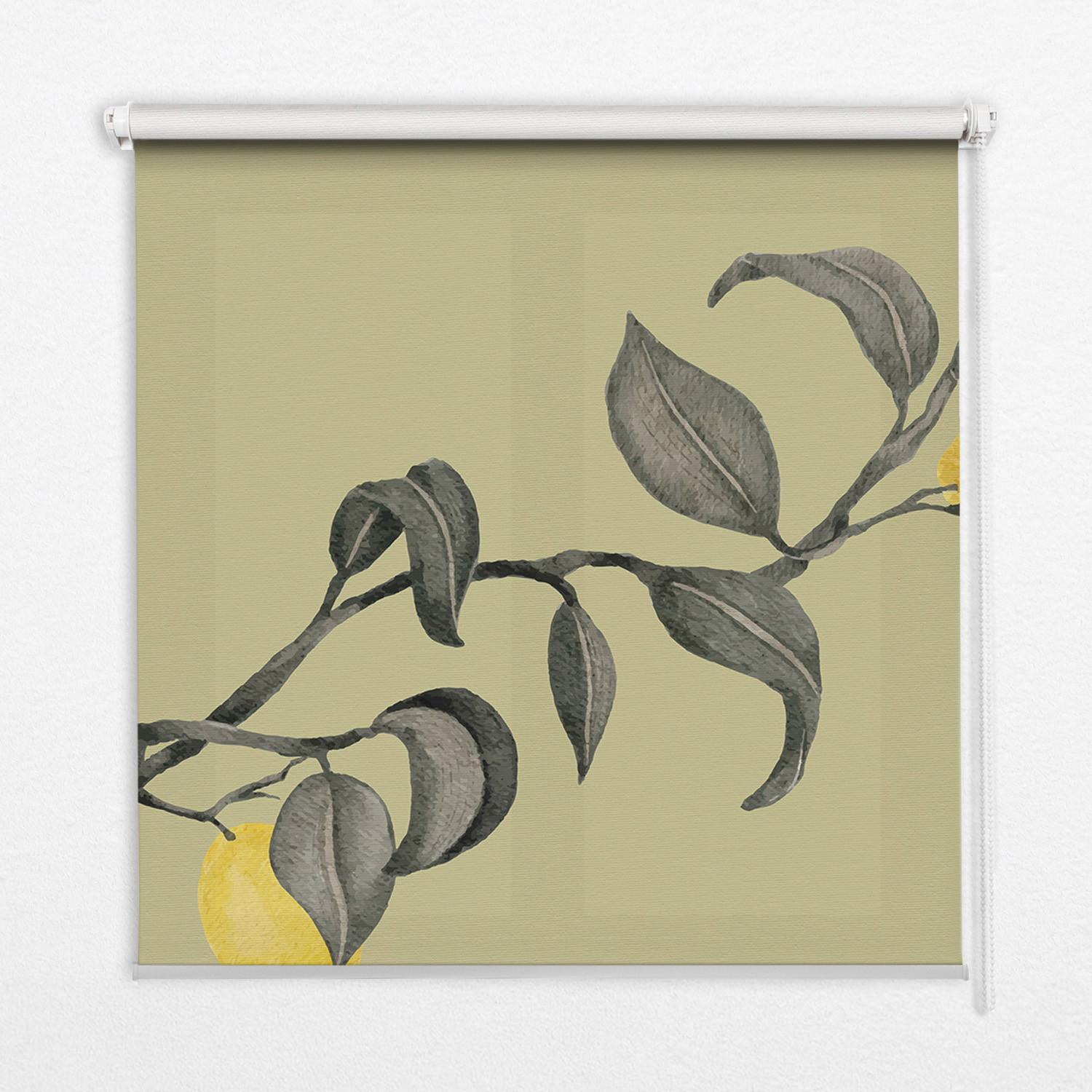 INNENROLLO - Fensterrollo - Rollo - 90x140 cm - Zitronen am Baum - Grün, Kunststoff (90/140/0.5cm) - TULUP