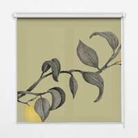 INNENROLLO - Fensterrollo - Rollo - 70x140 cm - Zitronen am Baum - Grün, Kunststoff (70/140/0.5cm) - TULUP