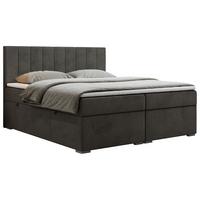 BOXBETT LOPE 120/200 - Dunkelgrau Velvet - H4 - Dunkelgrau, Holz/Textil (120/200cm)