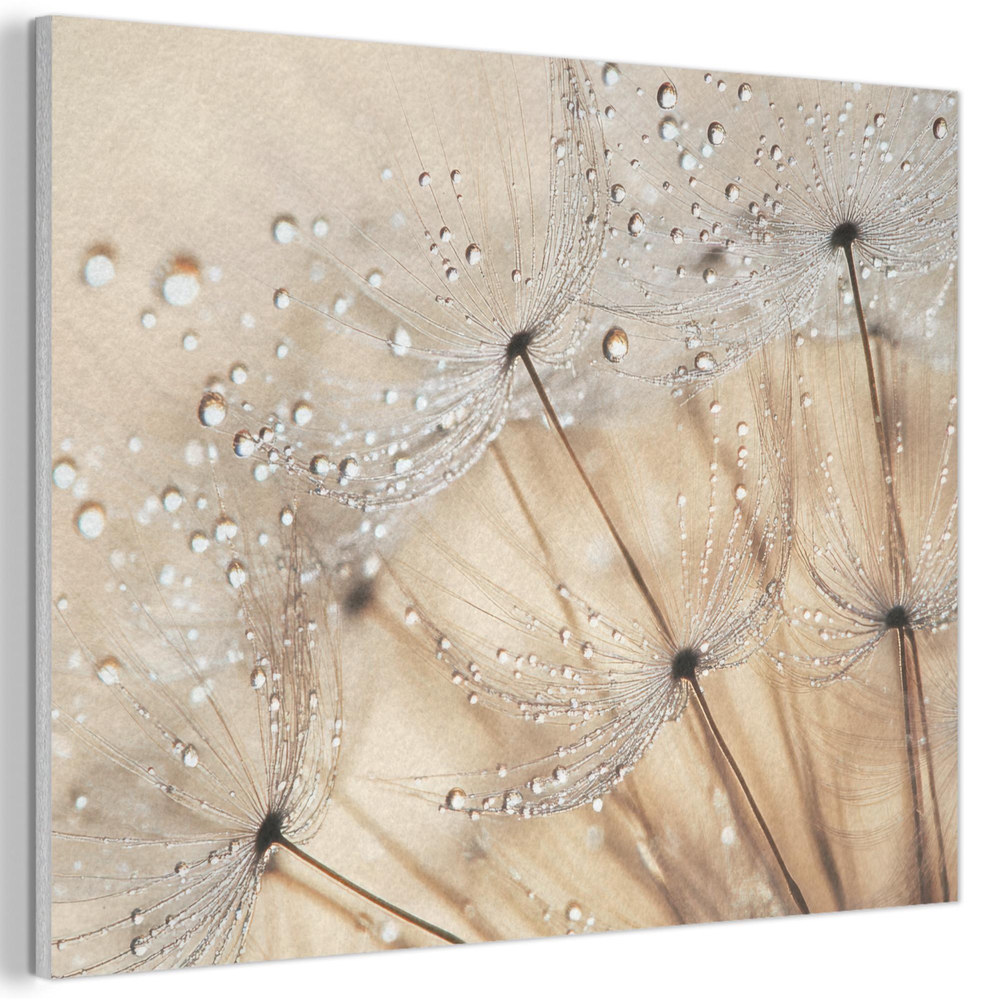 AKUSTIKBILD Löwenzahn - Abstrakt - Natur - Beige Wandbild Wohnzimmer 100x70 cm - Braun, Kunststoff (100/70/0.9cm) - MuchoWow