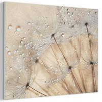 AKUSTIKBILD Löwenzahn - Abstrakt - Natur - Beige Wanddeko 70x50 cm - Braun, Kunststoff (70/50/0.9cm) - MuchoWow