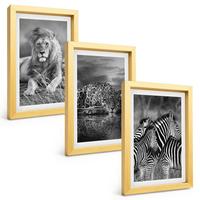 BILDER SET 3er Set - 20x30 cm Goldrahmen - Wildtiere der Savanne - Goldfarben, Kunststoff (20/30cm) - TULUP
