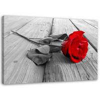 WANDBILD Rote Rose 100x70cm - Rot, Textil (100/70cm) - Feeby