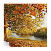 FOTOTAPETE 250x250 cm - Küstenherbst - Gelb, Textil (250/250cm) - Wallfluent